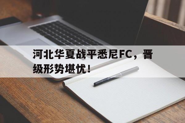 河北华夏战平悉尼FC，晋级形势堪忧！的简单介绍